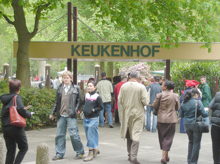 Kif_0347_1